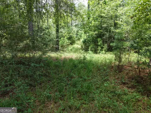 775 Fains Hatchery Rd, Edison, GA 39846 photo 7