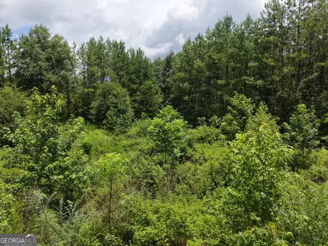 775 Fains Hatchery Rd, Edison, GA 39846 photo 12