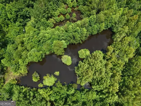 775 Fains Hatchery Rd, Edison, GA 39846 photo 15