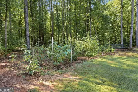 Exterior - 100 Levi Trl, Nicholson, GA 30565 photo 5 of 11