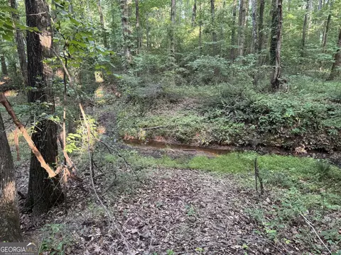 0 Lake Hampton Dr, Hampton, GA 30228 photo 6
