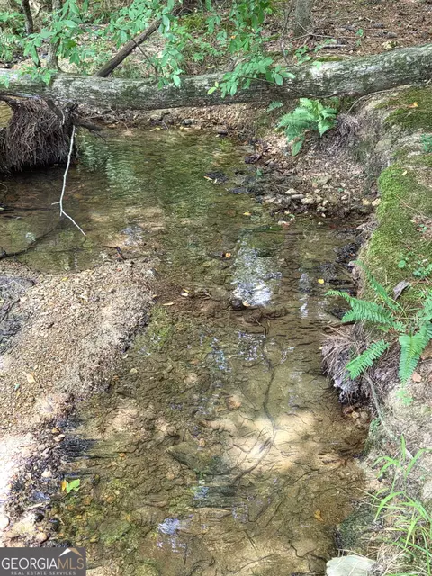 Other - 220 Long Rd, Rydal, GA 30171 photo 26 of 28