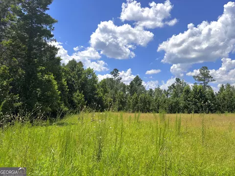 0 Ernest Carter Rd, Hazlehurst, GA 31539