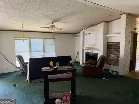 Living - 130 Triple Tree Rd, Bremen, GA 30110 photo 1 of 3