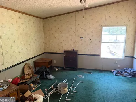 Other - 130 Triple Tree Rd, Bremen, GA 30110 photo 2 of 5