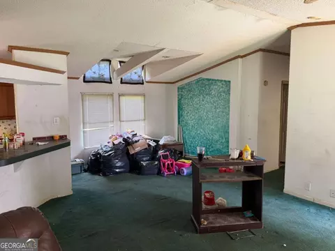 Living - 130 Triple Tree Rd, Bremen, GA 30110 photo 2 of 3