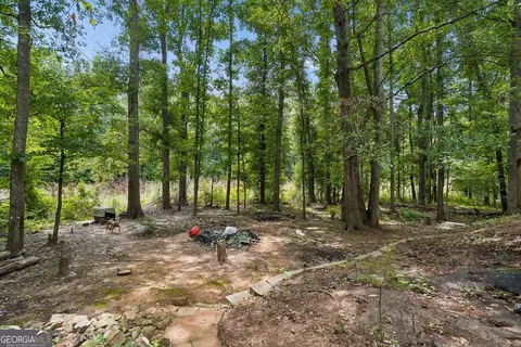 Exterior - 20 Creekview Ct, Covington, GA 30016 photo 3 of 3