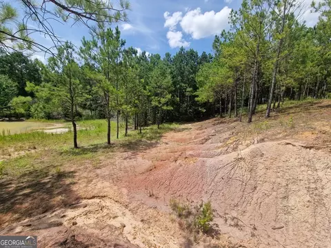 1214 Ga Highway 21 E, Millen, GA 30442 photo 12