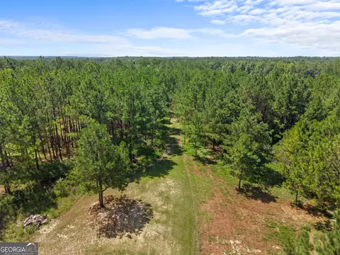 1214 Ga Highway 21 E, Millen, GA 30442 photo 10