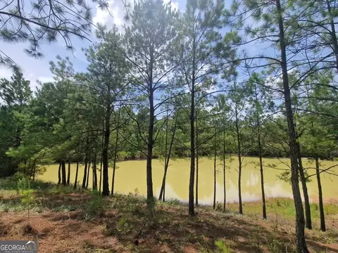 1214 Ga Highway 21 E, Millen, GA 30442 photo 13