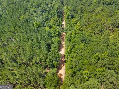 1214 Ga Highway 21 E, Millen, GA 30442 photo 8