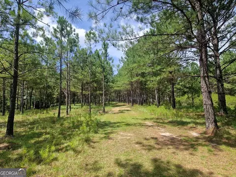 1214 Ga Highway 21 E, Millen, GA 30442 photo 11