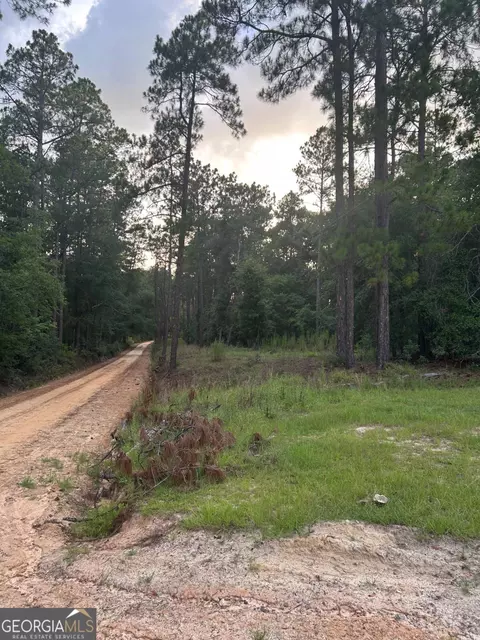0 Edenfield Rd, Twin City, GA 30471