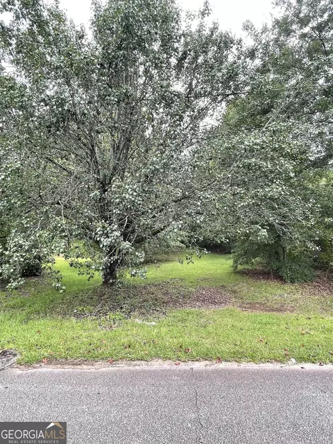 0 Sims St, Barnesville, GA 30204 photo 3