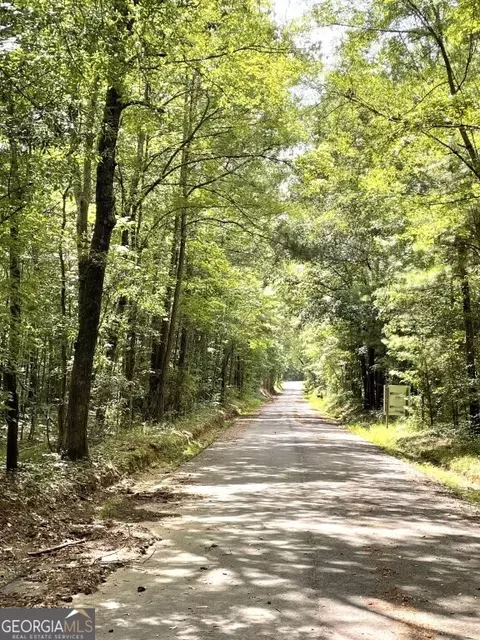 0 Pickett Bridge Rd, Covington, GA 30016 photo 3