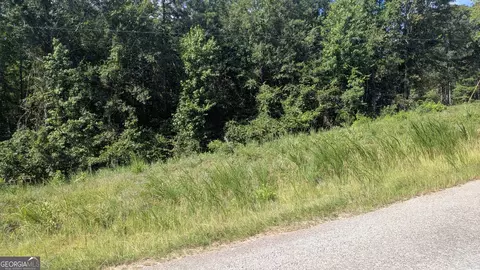 111 Chipper Ln, Sparta, GA 31087 photo 3