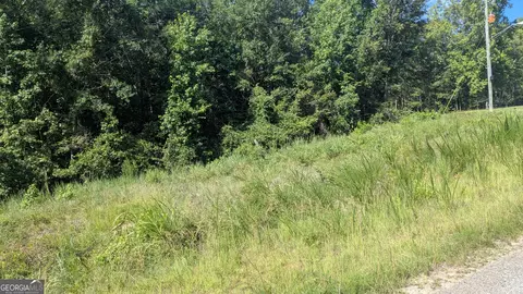 111 Chipper Ln, Sparta, GA 31087 photo 2