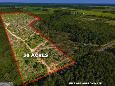 38 N Acres N Ga Highway 240 N Connector, Mauk, GA 31058