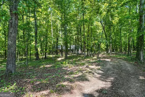 Exterior - 1050 Skyline Dr, Covington, GA 30014 photo 10 of 10