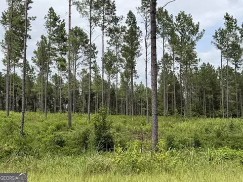 006 Old Monticello Rd, Milledgeville, GA 31061
