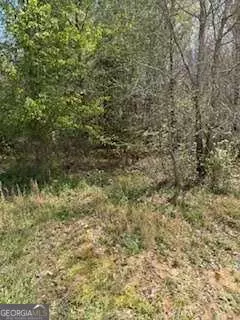 Bedroom - 390 Fields Rd, Cedartown, GA 30125 photo 2 of 2