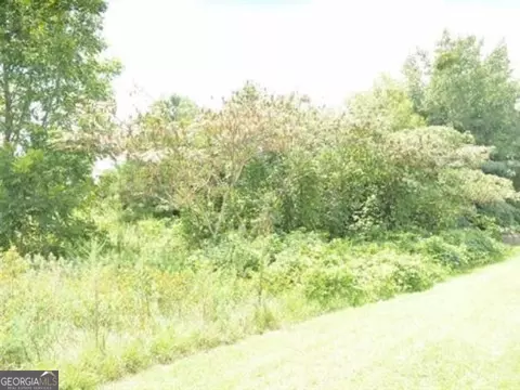 0 Gunn Rd, Byron, GA 31008 photo 2