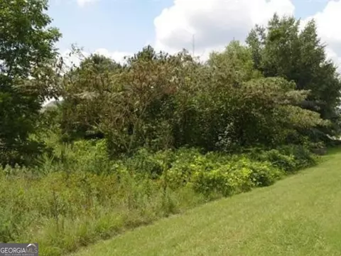 0 Gunn Rd, Byron, GA 31008 photo 6