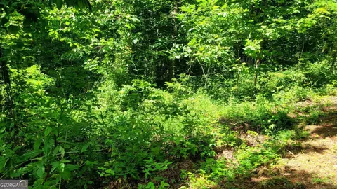 0 High Cliff Rd, Jasper, GA 30143 photo 4