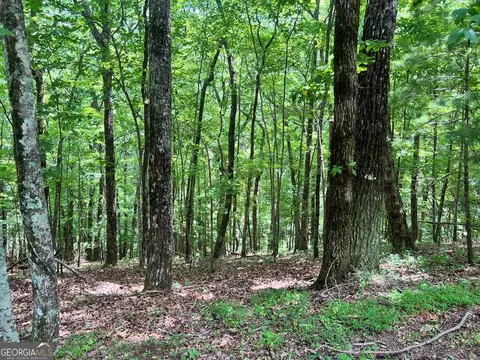 Lt G667-g68 Mountain Oak Road, Ellijay, GA 30536