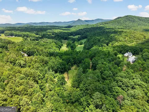 3182 Cove Rd, Jasper, GA 30143 photo 11