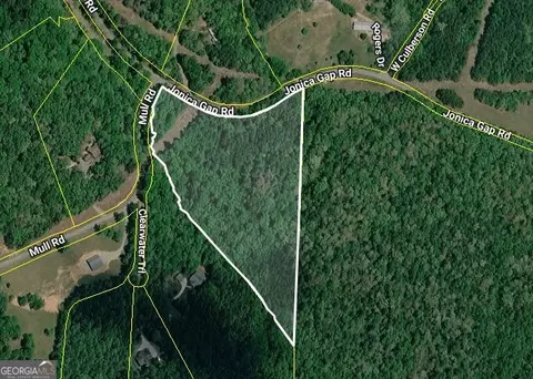 0 Jonica Gap Rd, Morganton, GA 30560 photo 2