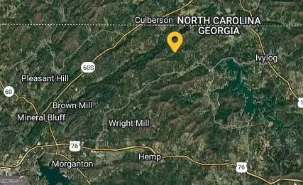 0 Jonica Gap Rd, Morganton, GA 30560 photo 4