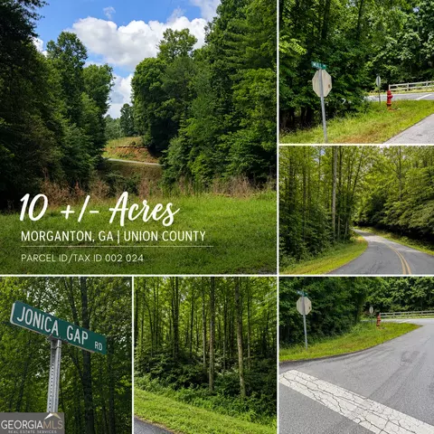 0 Jonica Gap Rd, Morganton, GA 30560 photo 3