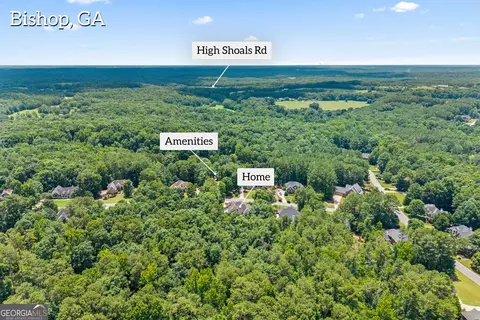 View/Area - 1041 Spring Lake Dr, Bishop, GA 30621 photo 7 of 8