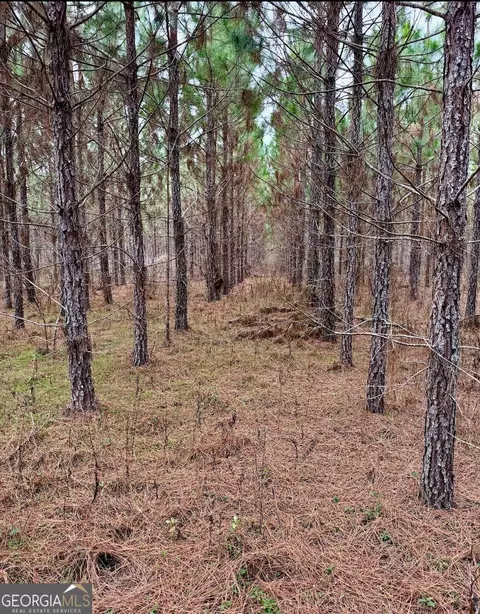 tbd John M Brewton Rd, Glennville, GA 30427