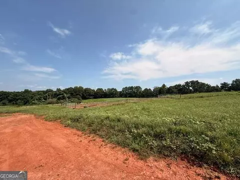 0 Rainey Rd, Temple, GA 30179 photo 6