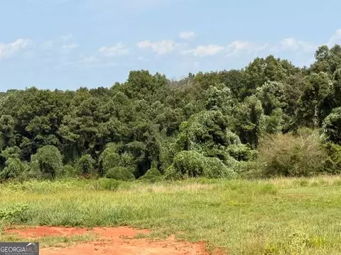 0 Rainey Rd, Temple, GA 30179 photo 3