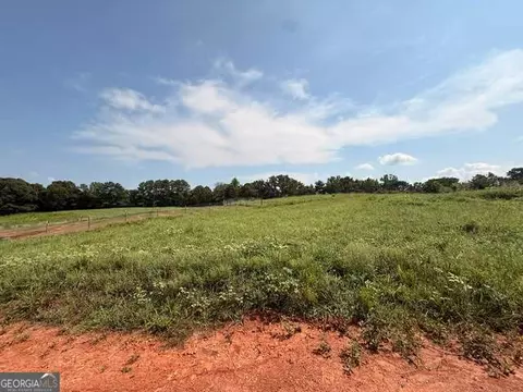 0 Rainey Rd, Temple, GA 30179 photo 5