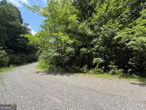 lot E9 Reece Mountain Rd, Ellijay, GA 30536