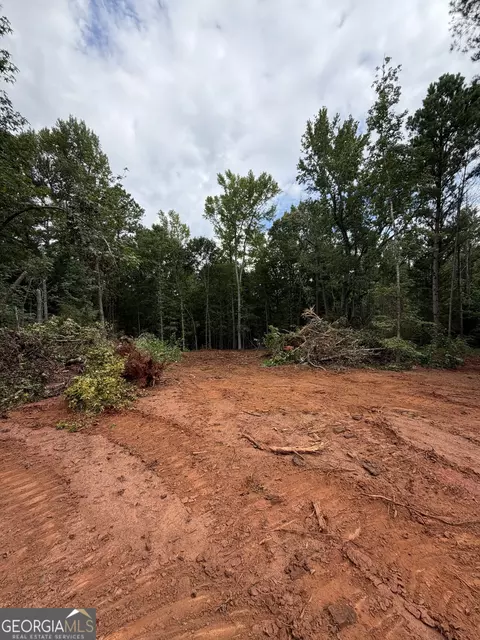 0 Oak Ct, Williamson, GA 30292 photo 3