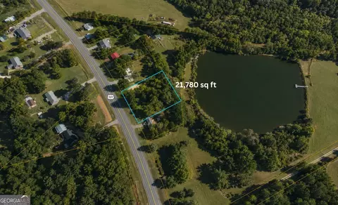 1001 Highway 221, Bartow, GA 30413 photo 5