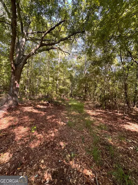 0 Rocky Dr, Colbert, GA 30628 photo 4
