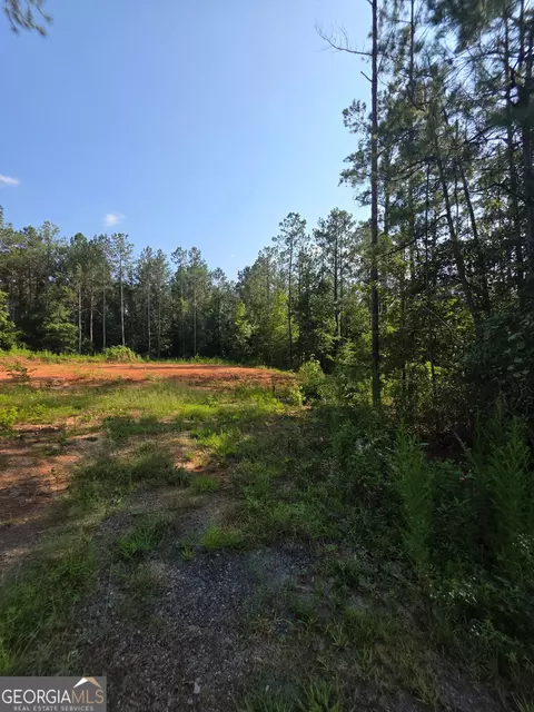 276 Bishop Rd, Meansville, GA 30256