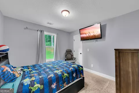 160 Morgan Way, Colbert, GA 30628 photo 33