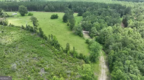 5257 Blume Rd, Mitchell, GA 30820 photo 6