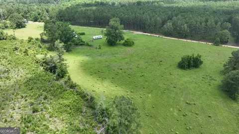 5257 Blume Rd, Mitchell, GA 30820 photo 7
