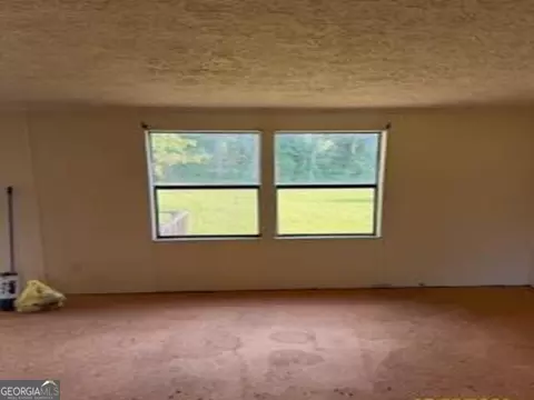 2936 Piney Grove Rd, Blackshear, GA 31516 photo 8