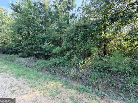 0 Hollis Rd, Roberta, GA 31078 photo 3