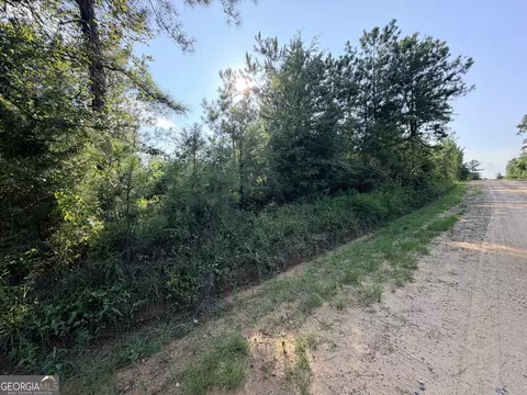 0 Hollis Rd, Roberta, GA 31078 photo 2