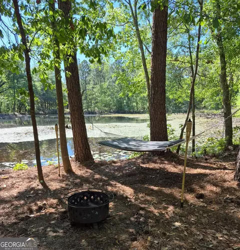 Other - 30 Golden Ln, Collins, GA 30421 photo 5 of 7